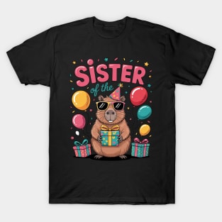 Sister of the Birthday Boy Video Gamer Birthday Party T T-Shirt